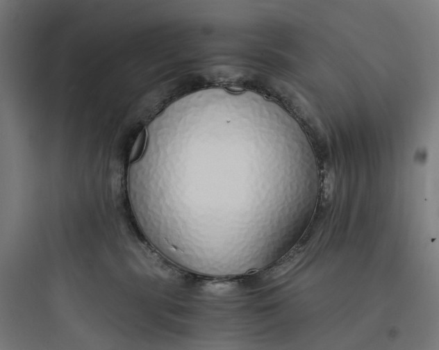 X0000093770283200711061142