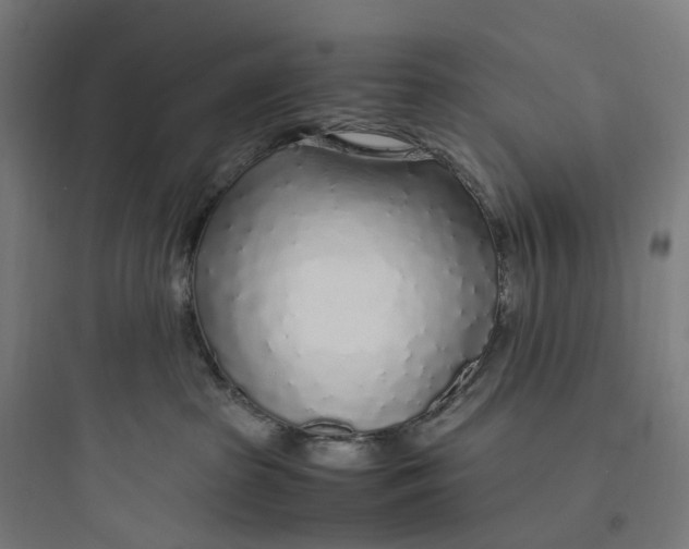 X0000093770285200711061142