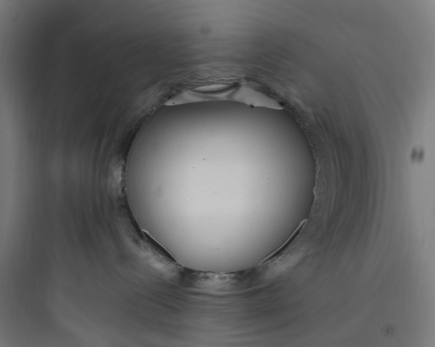 X0000093770288200711061142