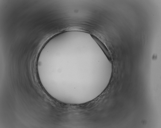 X0000093770289200711061141