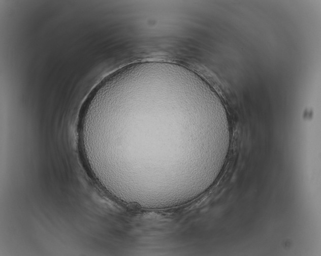 X0000093770290200711061141