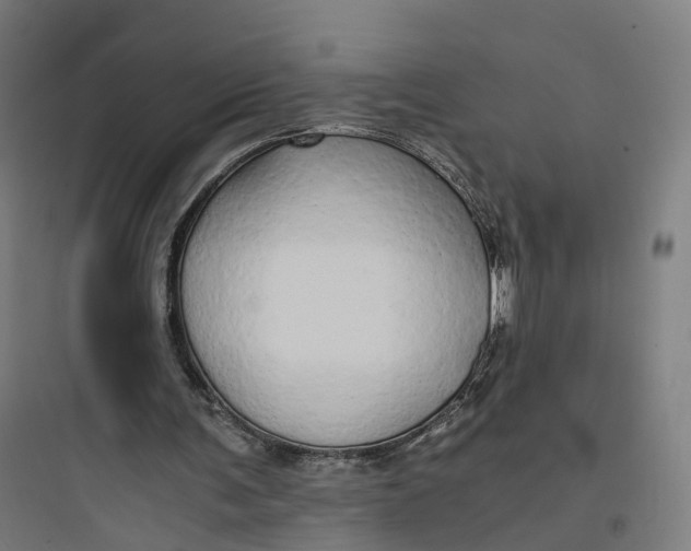 X0000093770291200711061141