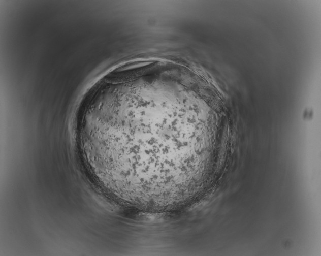 X0000093770295200711061141