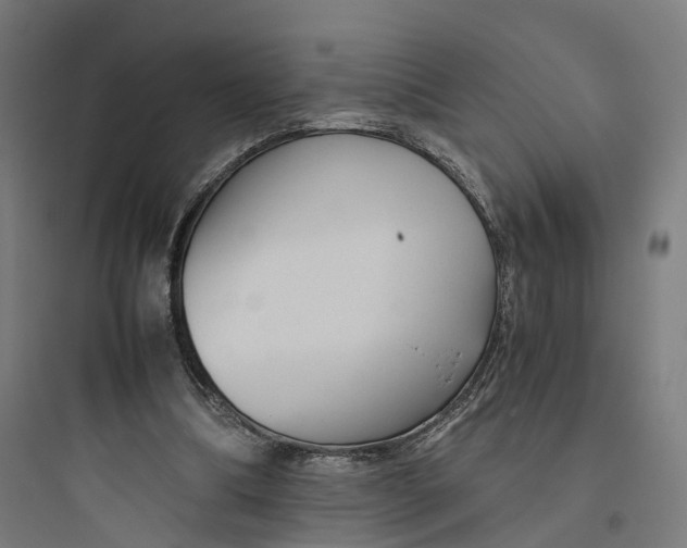 X0000093770298200711061141