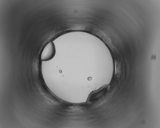 X0000093770300200711061141