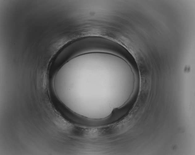 X0000093770301200711061141