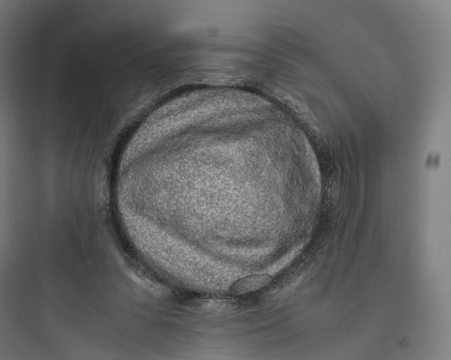 X0000093770303200711061141