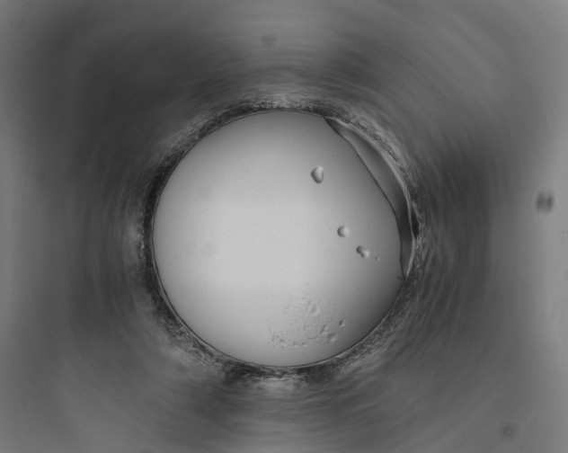 X0000093770306200711061141