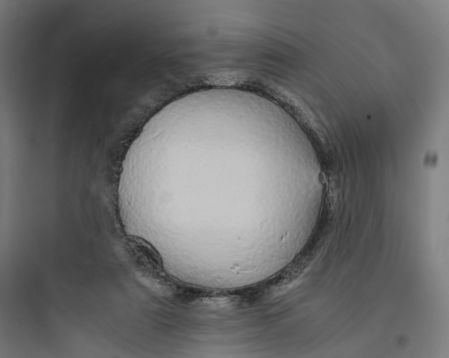 X0000093770307200711061141