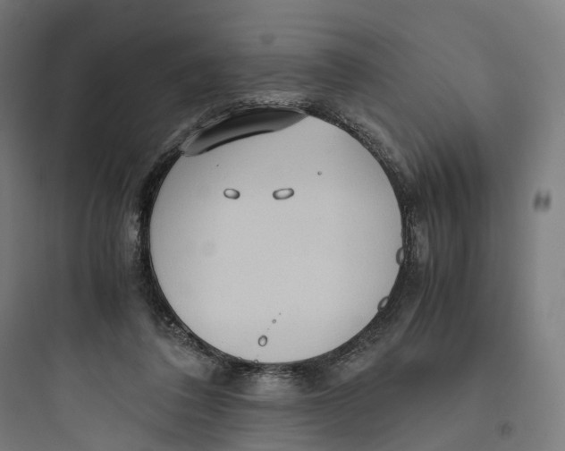 X0000093770308200711061141