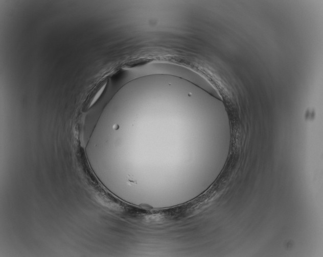 X0000093770309200711061141