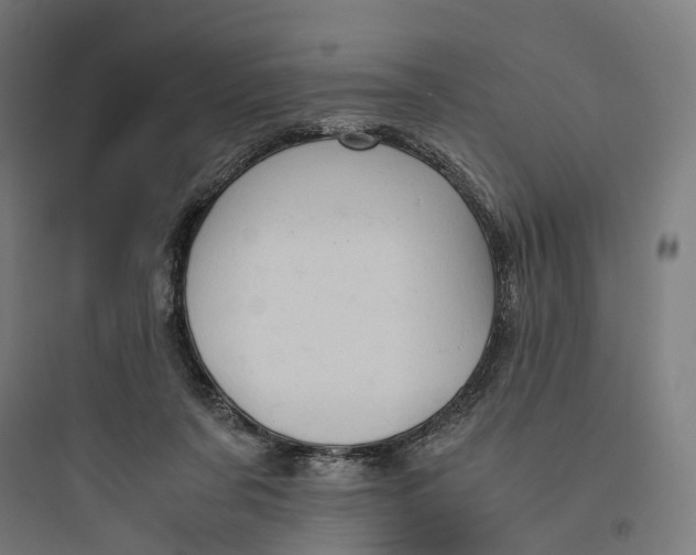 X0000093770311200711061141