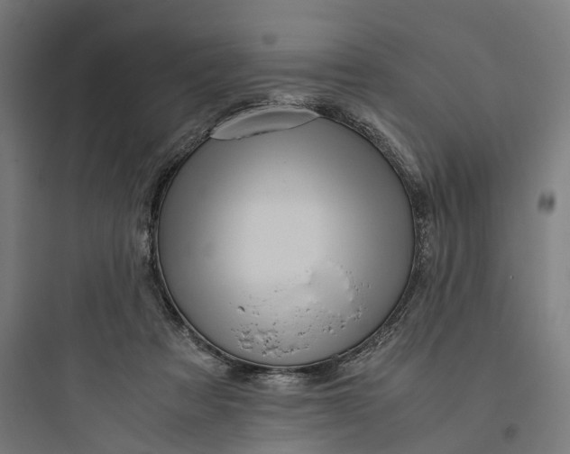 X0000093770313200711061141