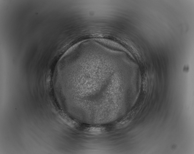 X0000093770314200711061141