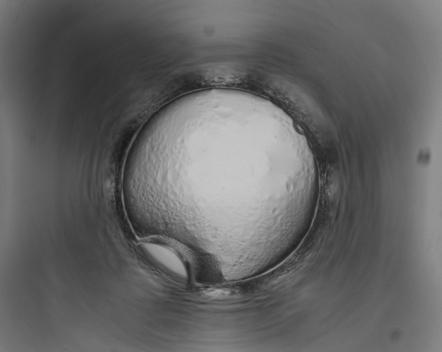 X0000093770315200711061141