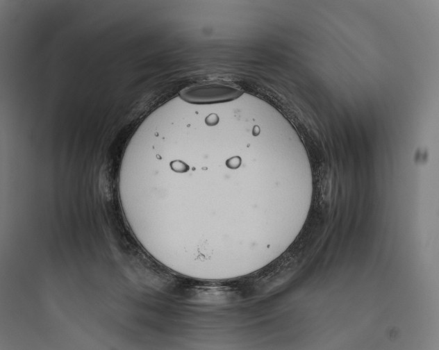 X0000093770316200711061141