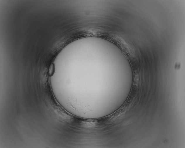 X0000093770318200711061141