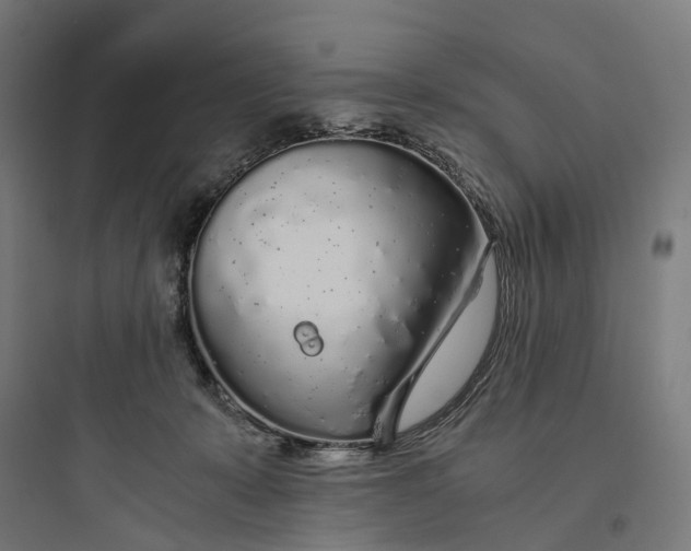 X0000093770319200711061141