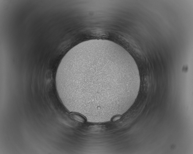 X0000093770320200711061140