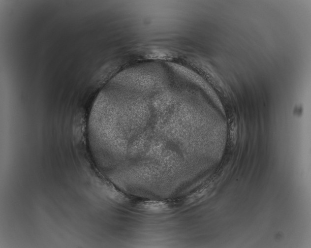 X0000093770322200711061140