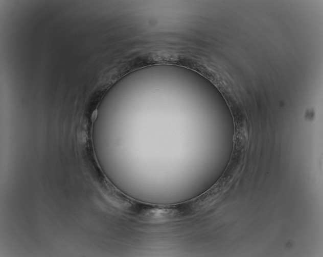 X0000093770323200711061140