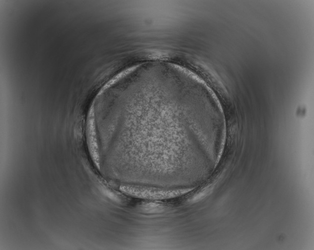 X0000093770325200711061140