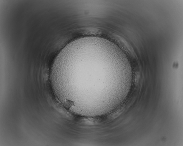 X0000093770326200711061140