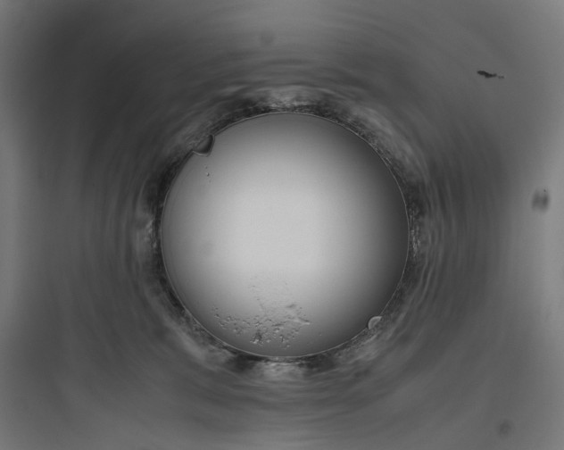 X0000093770327200711061140