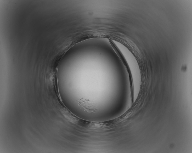 X0000093770329200711061140