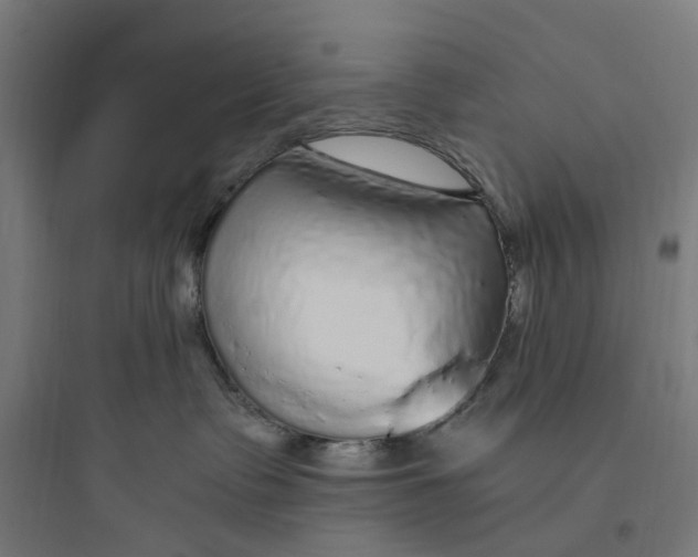 X0000093770335200711061140