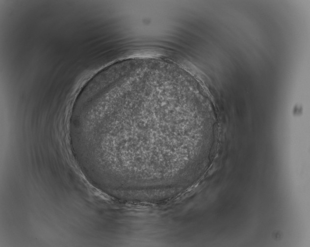 X0000093770337200711061140