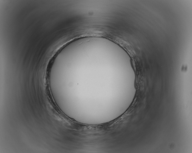 X0000093770338200711061140