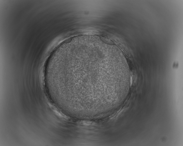 X0000093770339200711061140