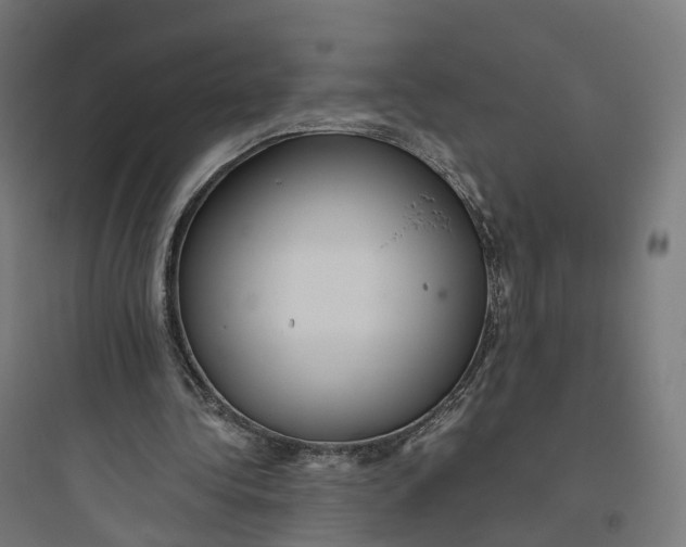 X0000093770340200711061140