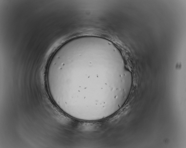 X0000093770341200711061140