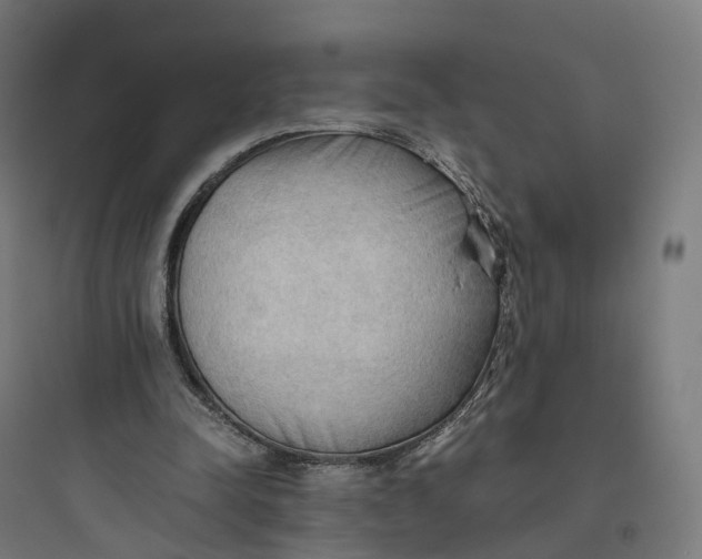 X0000093770342200711061140