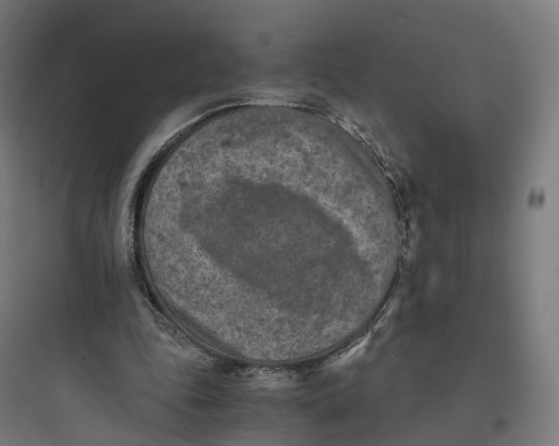 X0000093770343200711061140