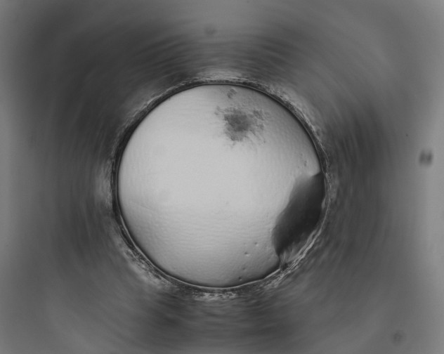 X0000093770345200711061140