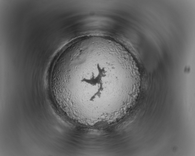 X0000093770347200711061140