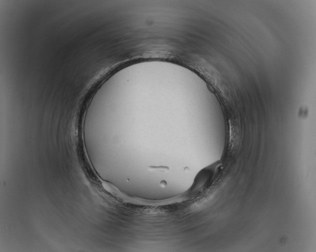 X0000093770348200711061140