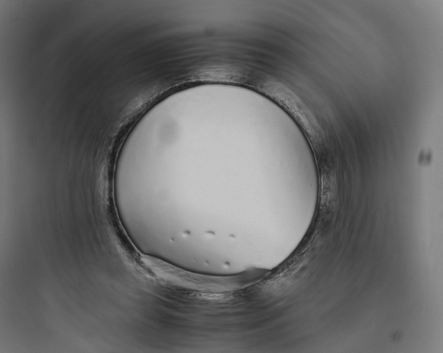 X0000093770349200711061140