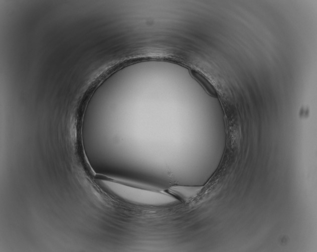 X0000093770350200711061140