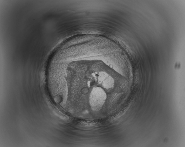 X0000093770351200711061140