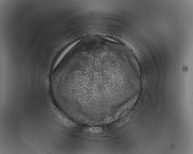 X0000093770353200711061140