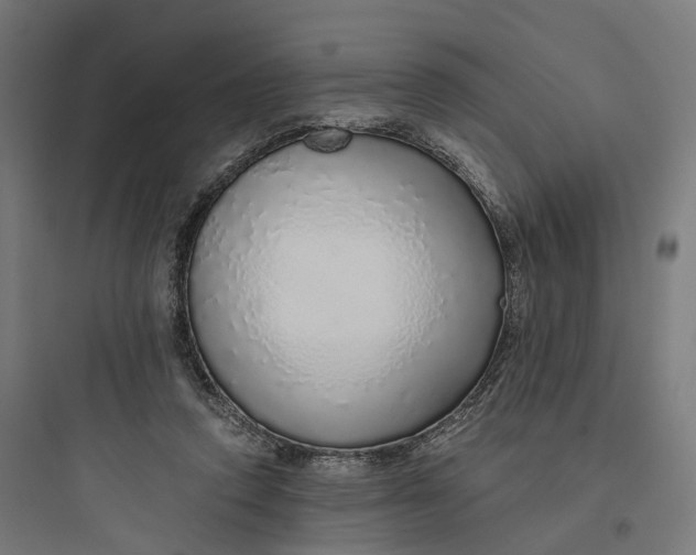 X0000093770354200711061140