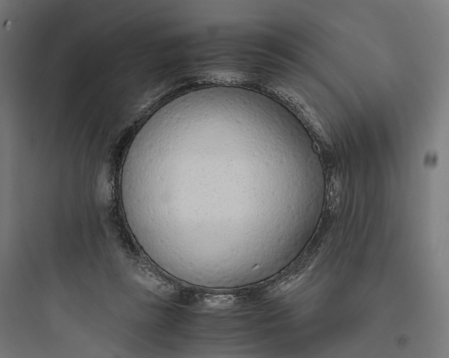 X0000093770355200711061140