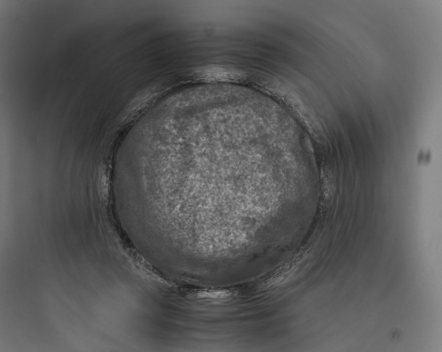 X0000093770357200711061140