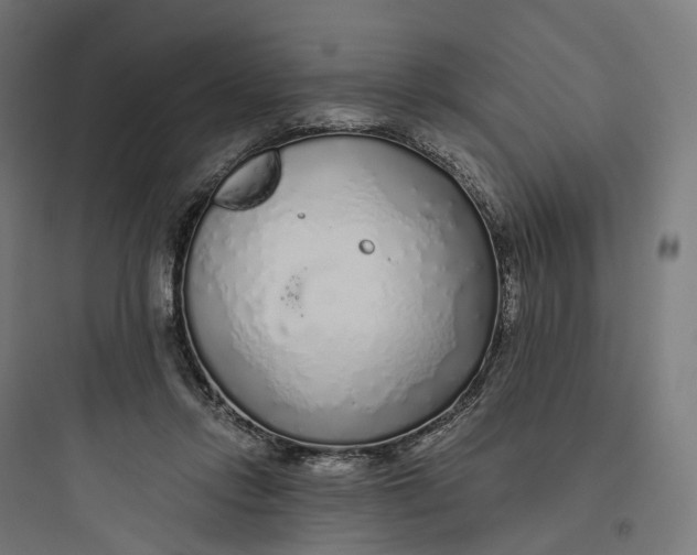 X0000093770358200711061140