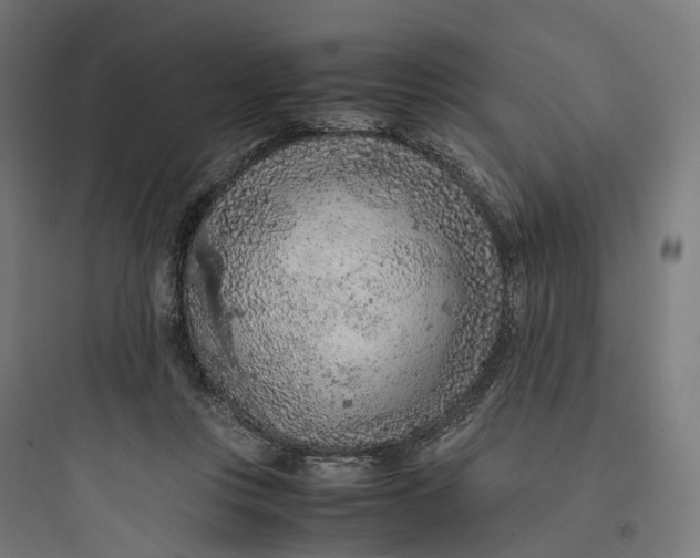 X0000093770359200711061140