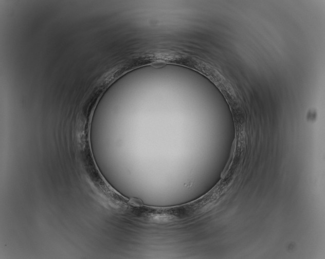 X0000093770360200711061140